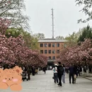 合肥旅游 缩略图 2