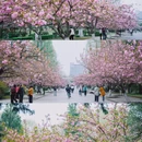 合肥旅游 缩略图 1
