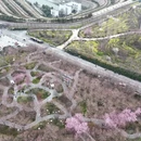 郑州旅游 缩略图 7