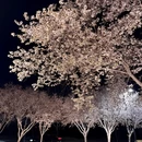 郑州旅游 缩略图 6