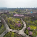 郑州旅游 缩略图 8