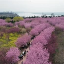 郑州旅游 缩略图 5