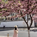 郑州旅游 缩略图 10