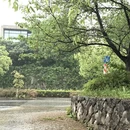 杭州旅游 缩略图 12