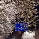 郑州旅游 缩略图 4