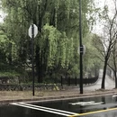 杭州旅游 缩略图 13