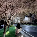郑州旅游 缩略图 5