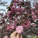 合肥旅游 缩略图 5