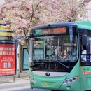 郑州旅游 缩略图 6