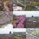 郑州旅游 缩略图 1