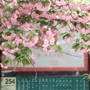 郑州旅游 缩略图 4