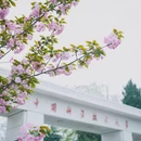 合肥旅游 缩略图 2