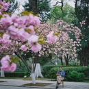 合肥旅游 缩略图 4