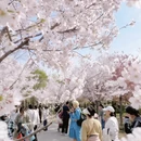 郑州旅游 缩略图 11