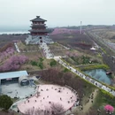 郑州旅游 缩略图 3