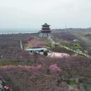郑州旅游 缩略图 2