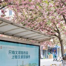 郑州旅游 缩略图 8