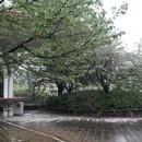 杭州旅游 缩略图 10