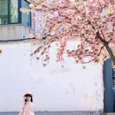 郑州旅游 缩略图 7