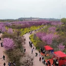 郑州旅游 缩略图 4