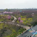 郑州旅游 缩略图 9