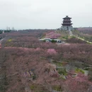 郑州旅游 缩略图 10