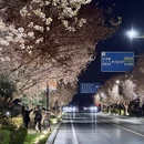 郑州旅游 缩略图 8