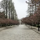 合肥旅游 缩略图 2