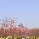 郑州旅游 缩略图 10