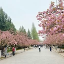 合肥旅游 缩略图 3