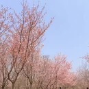 郑州旅游 缩略图 11