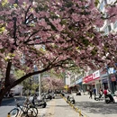郑州旅游 缩略图 9
