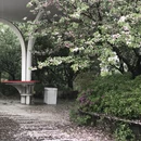 杭州旅游 缩略图 11