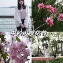 合肥旅游 缩略图 1