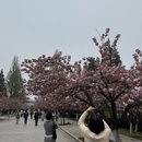 合肥旅游 缩略图 5