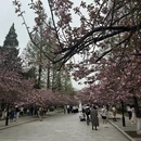 合肥旅游 缩略图 6