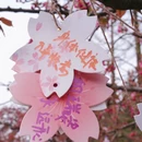 合肥旅游 缩略图 6