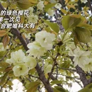 合肥旅游 缩略图 7
