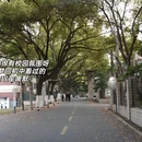 合肥旅游 缩略图 10