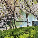 郑州旅游 缩略图 6