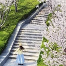 郑州旅游 缩略图 2
