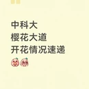 合肥旅游 缩略图 1
