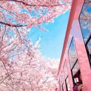 郑州旅游 缩略图 2