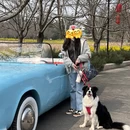 郑州旅游 缩略图 9