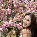 合肥旅游 缩略图 2