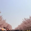 郑州旅游 缩略图 1