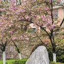 合肥旅游 缩略图 3