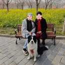 郑州旅游 缩略图 14