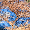 郑州旅游 缩略图 5