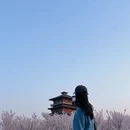 郑州旅游 缩略图 7